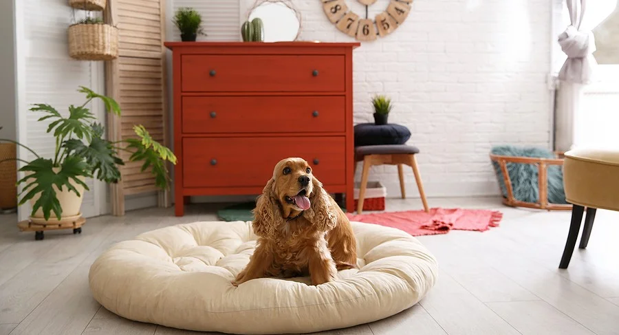 Goldsboro Pet Screening